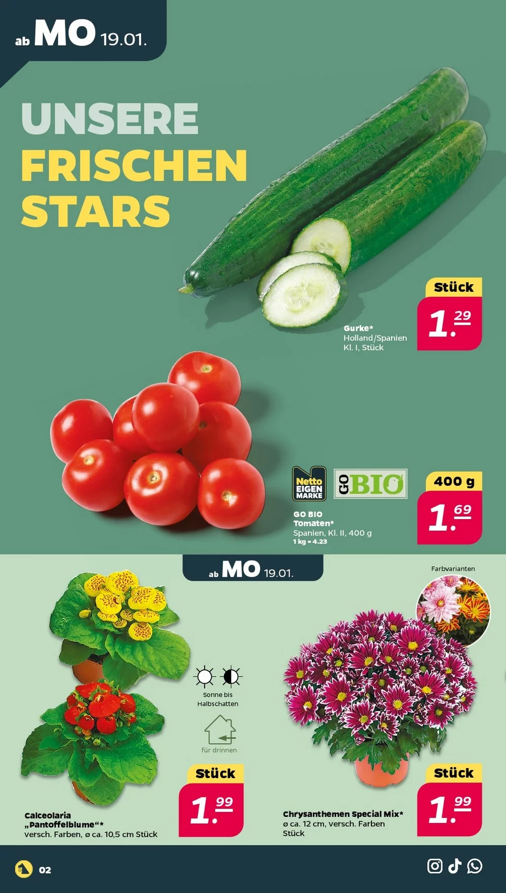 netto prospekt januar 19 24 2