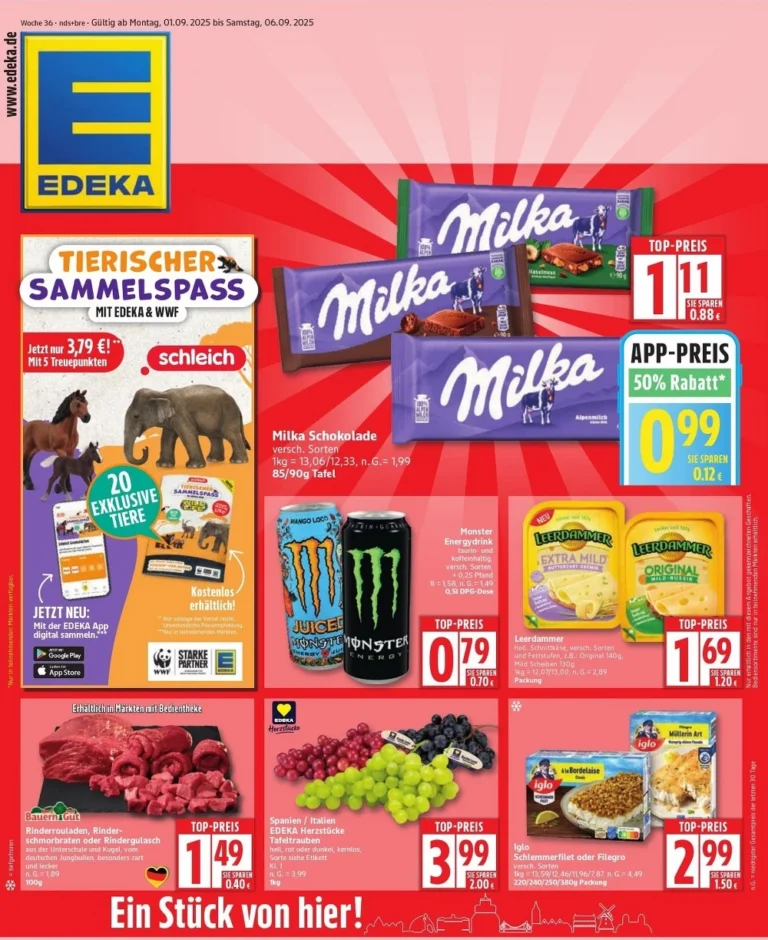 edeka prospekt kw-36, neu prospekt edeka