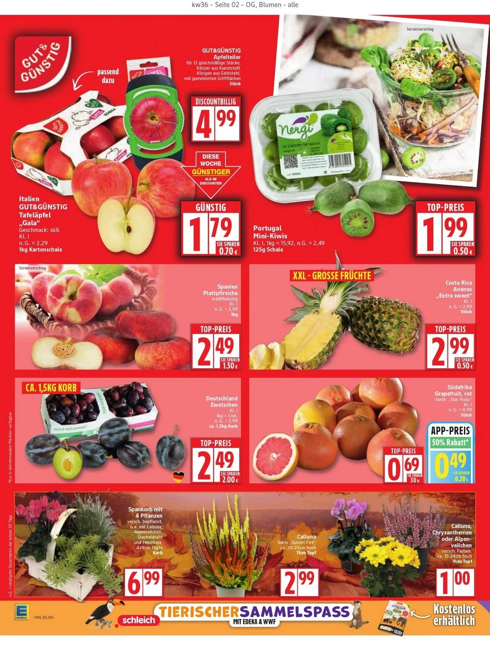 edeka prospekt september 1 6 2