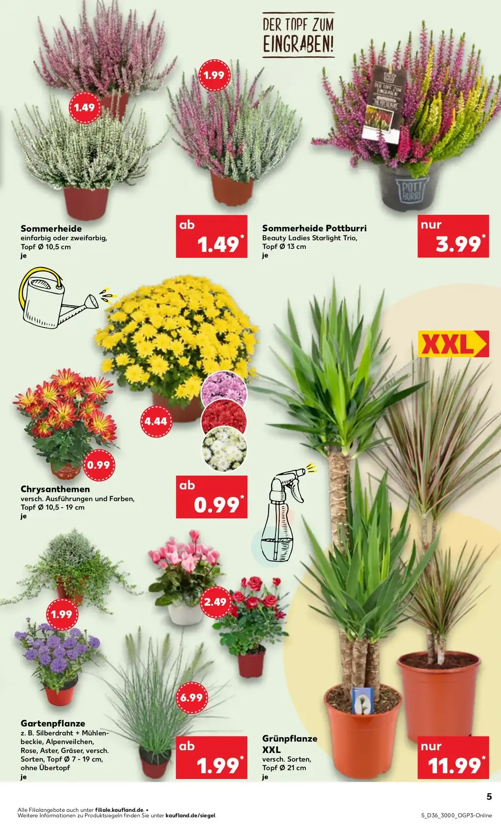 kaufland prospekt september 4 9 5
