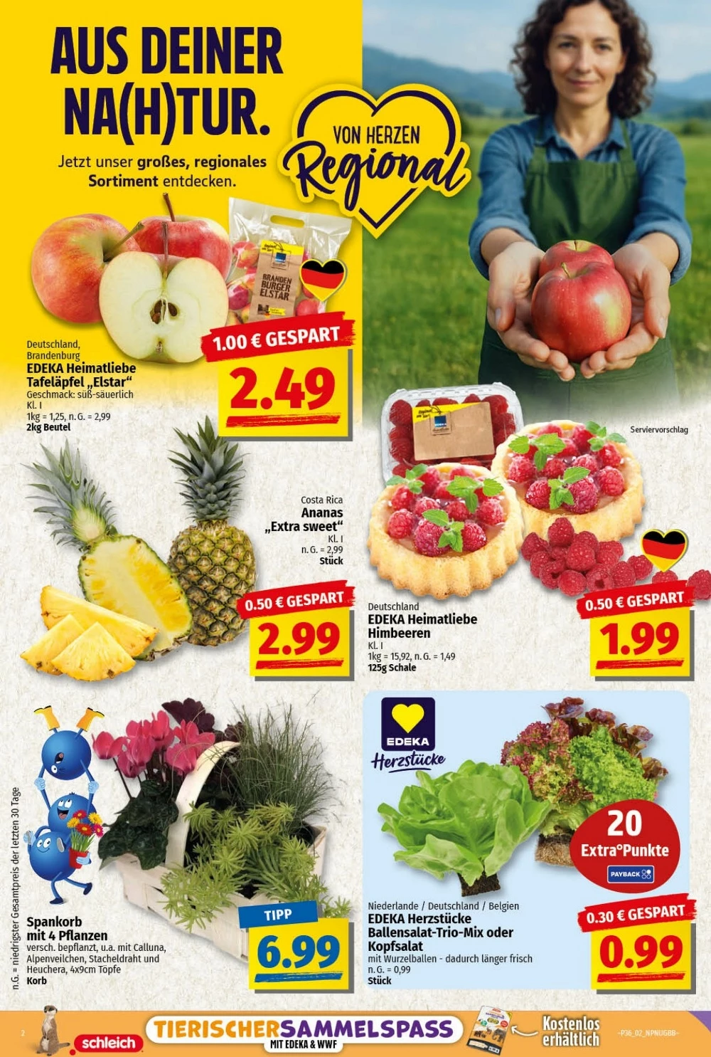 np prospekt september 1 6 2