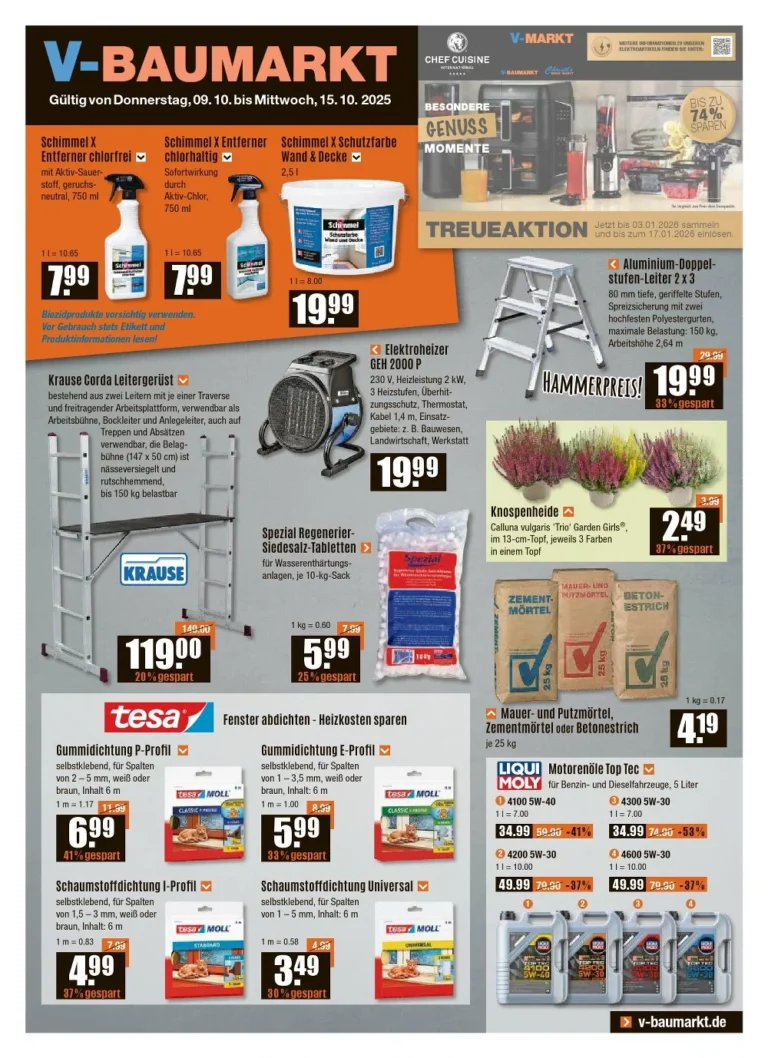v baumarkt prospekt kw41