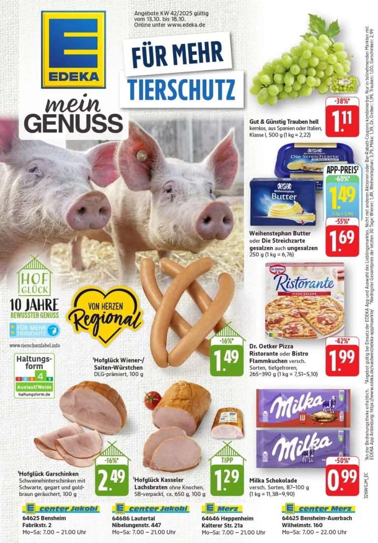 edeka südwest prospekt kw42