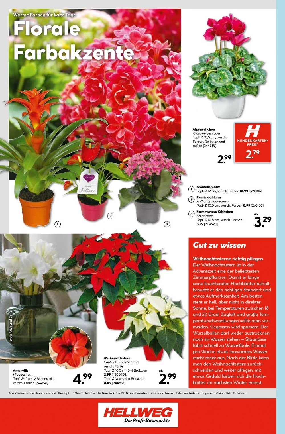 hellweg prospekt oktober 27 31 24