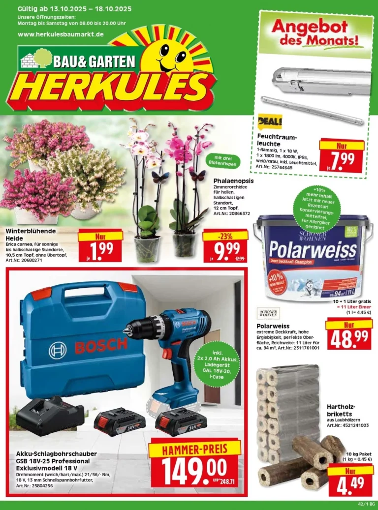 herkules baumarkt prospekt kw42