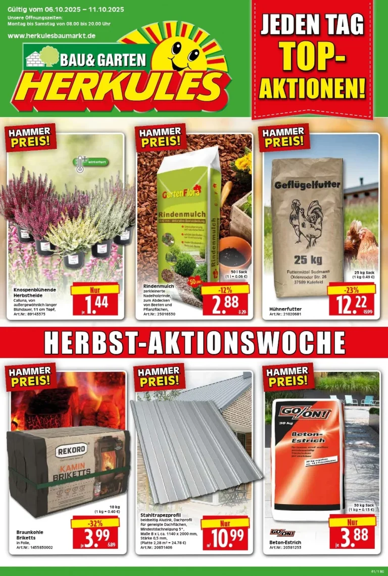 herkules baumarkt kw41