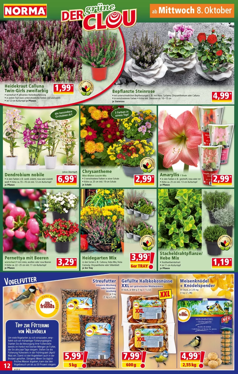 norma prospekt oktober 6 11 12