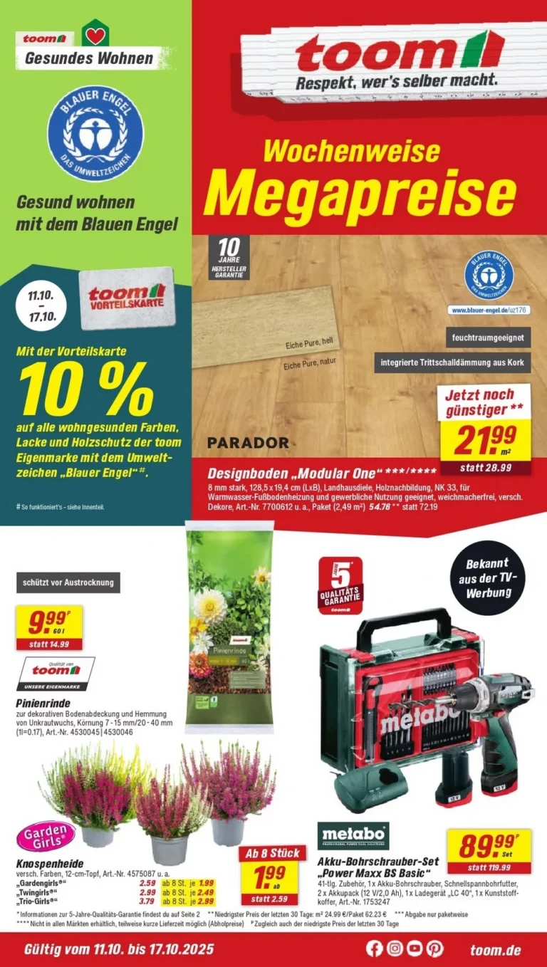 toom baumarkt prospekt kw42