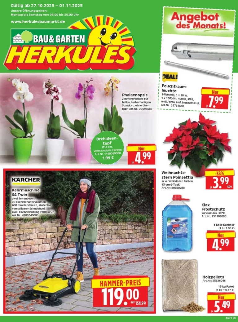 herkules baumarkt prospekt kw44
