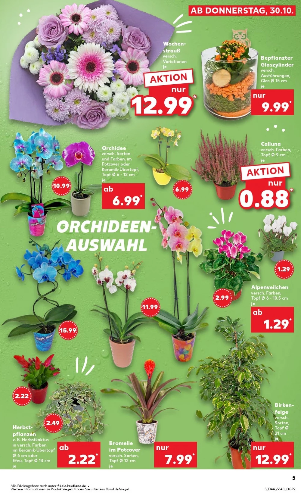 kaufland prospekt oktober 30 november 5 5