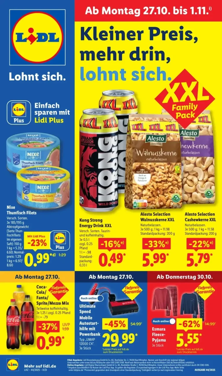 lidl prospekt kw-44