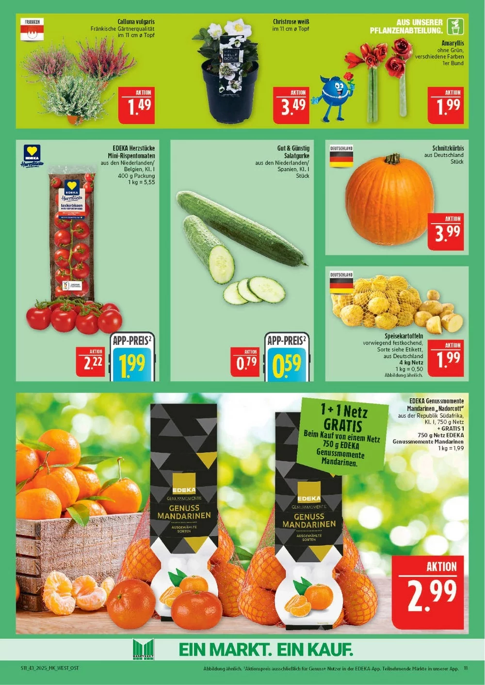 marktkrauf hof prospekt oktober 20 25 11