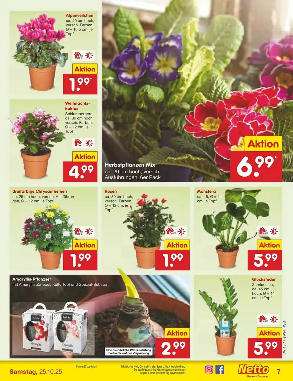 netto marken prospekt oktober 20 25 7
