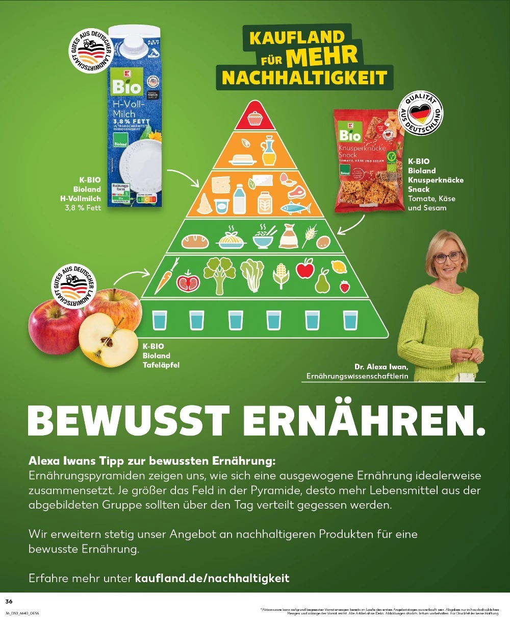 kaufland prospekt dezember 11 17 36