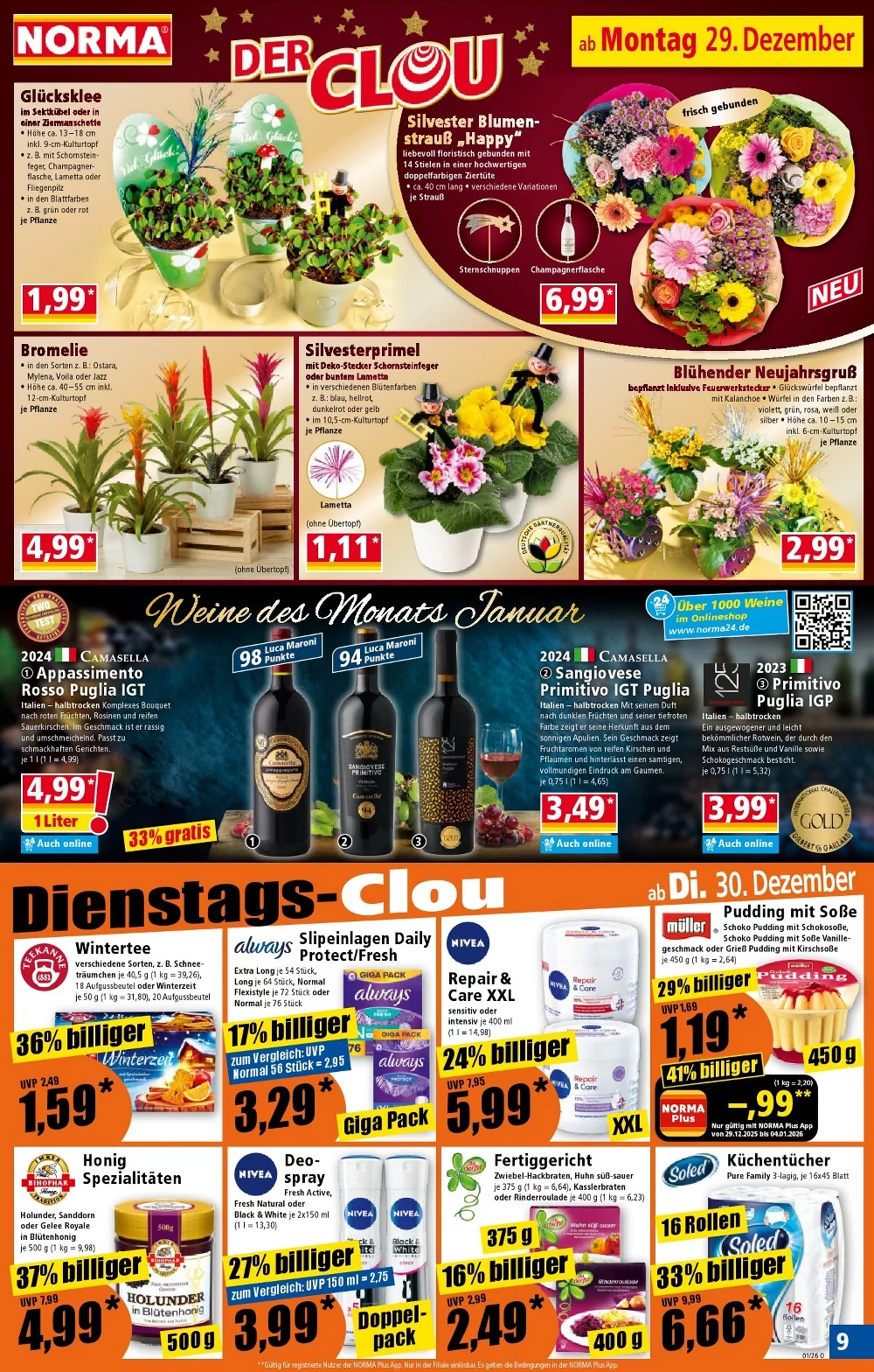 norma prospekt dezember 29 januar 3 8