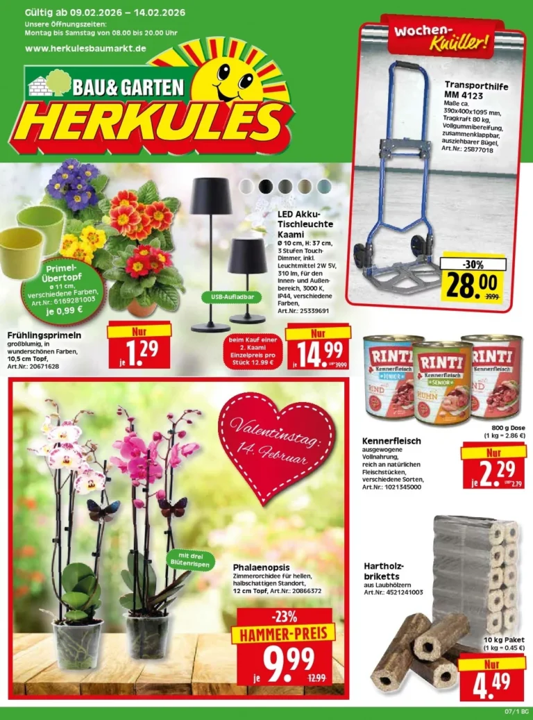 herkules baumarkt prospekt kw-7