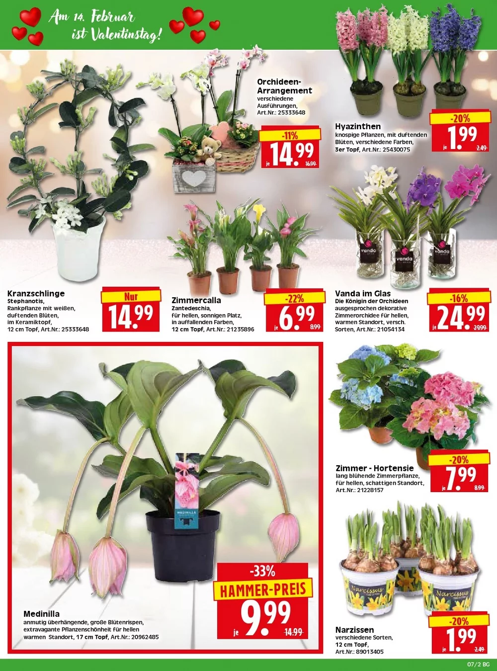 Herkules Baumarkt Prospekt ab 23.02.2026 Angebote Blättern 2 herkules baumarkt prospekt kw 7 2