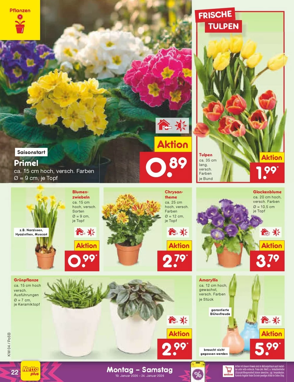 netto marken prospekt januar 19 24 22