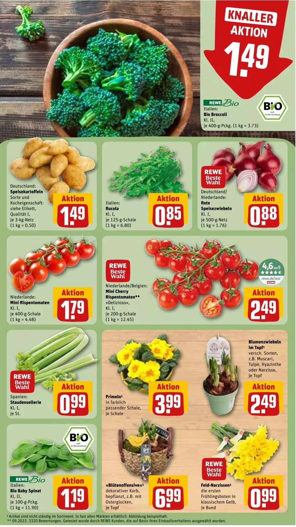 rewe prospekt januar 26 31 7 70338170