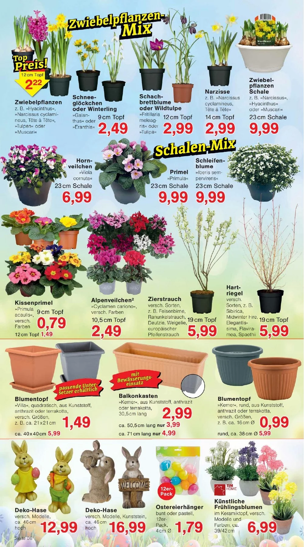 Jawoll Prospekt kw08 2026 6