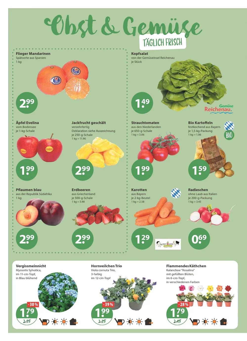 V Markt prospekt februar 26 4