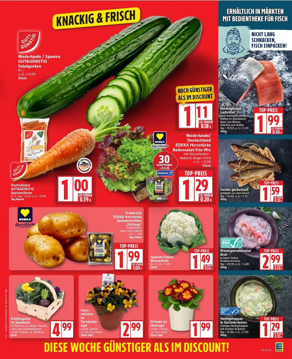 edeka prospekt februar 23 28 3