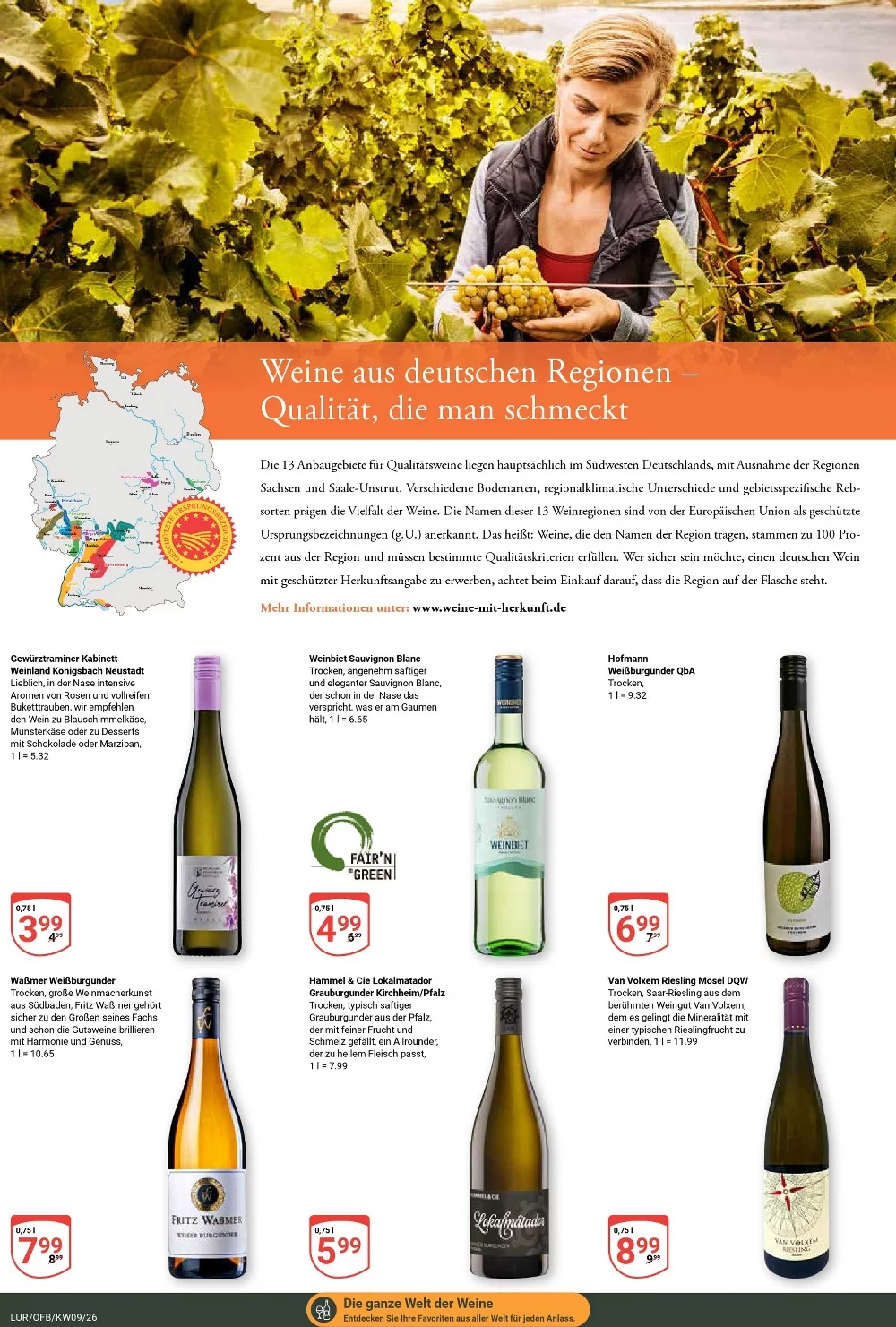 globus prospekt februar 23 28 19