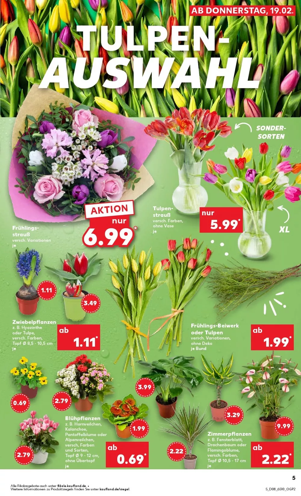 kaufland prospekt februar 19 25 5