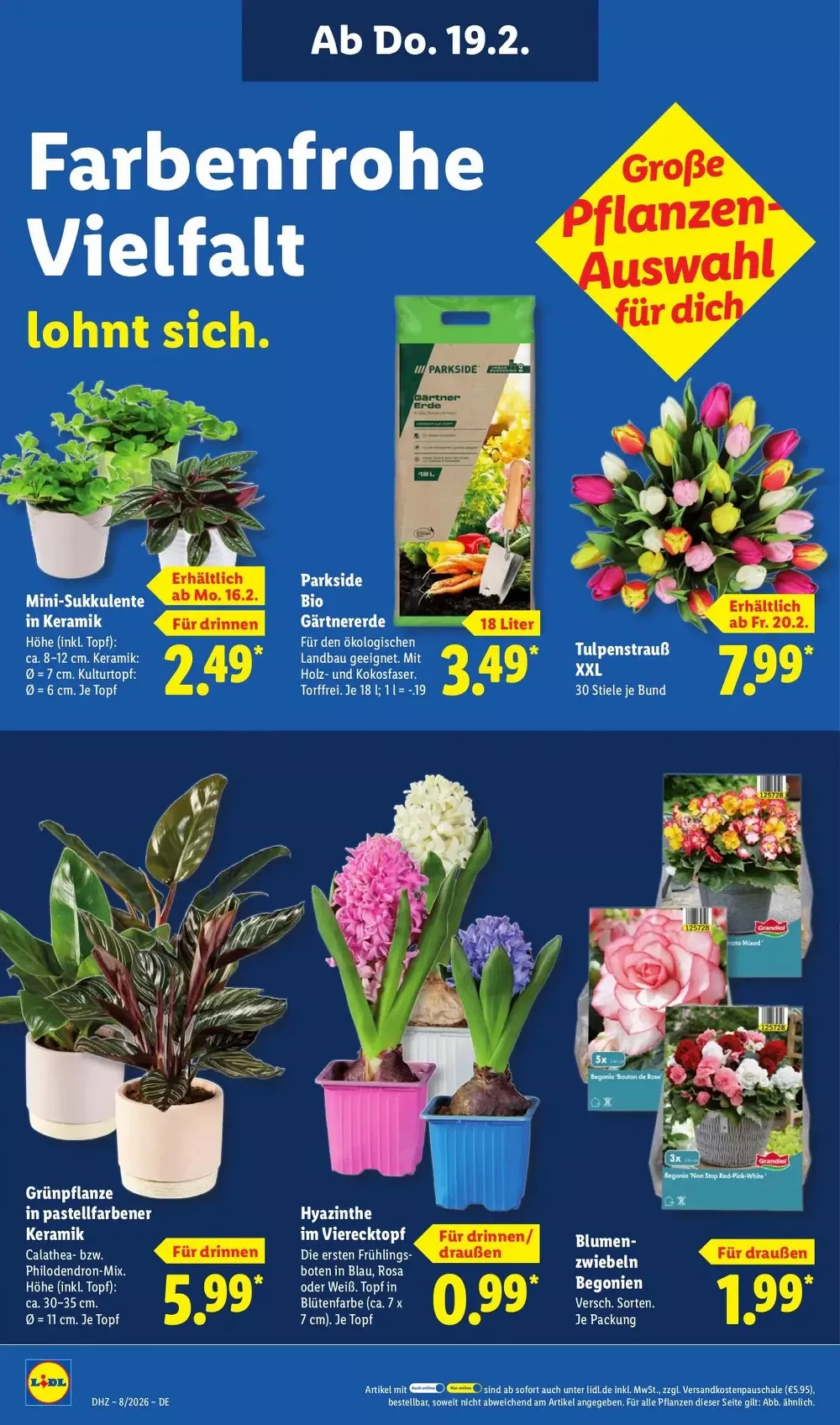 lidl prospekt februar 16 21 56