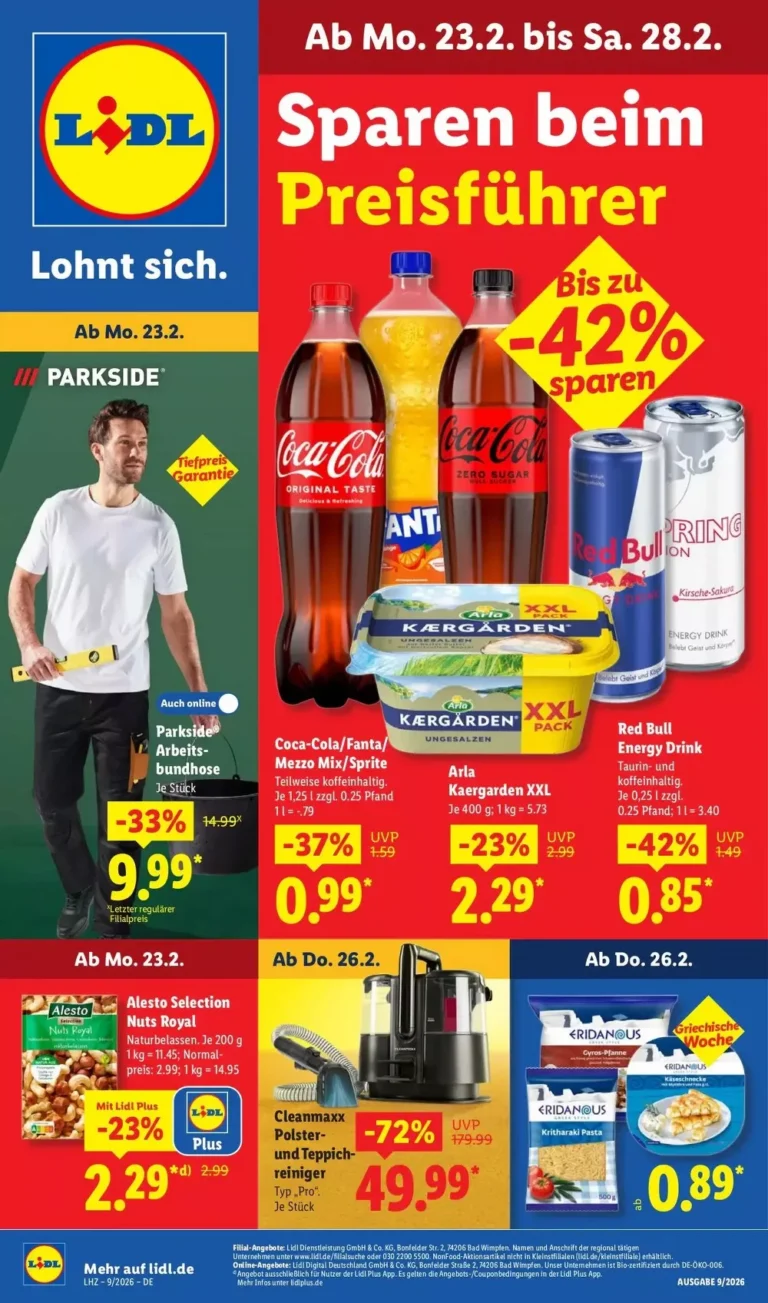 lidl prospekt kw-9