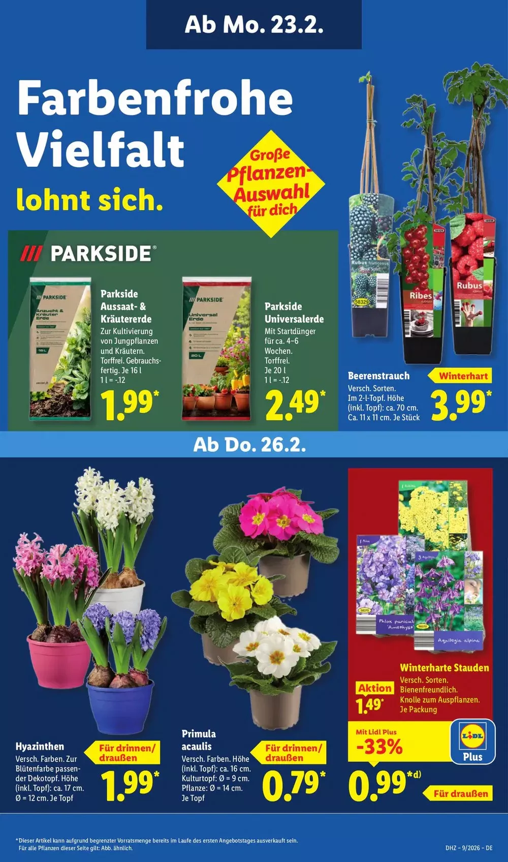 lidl prospekt februar 23 28 65