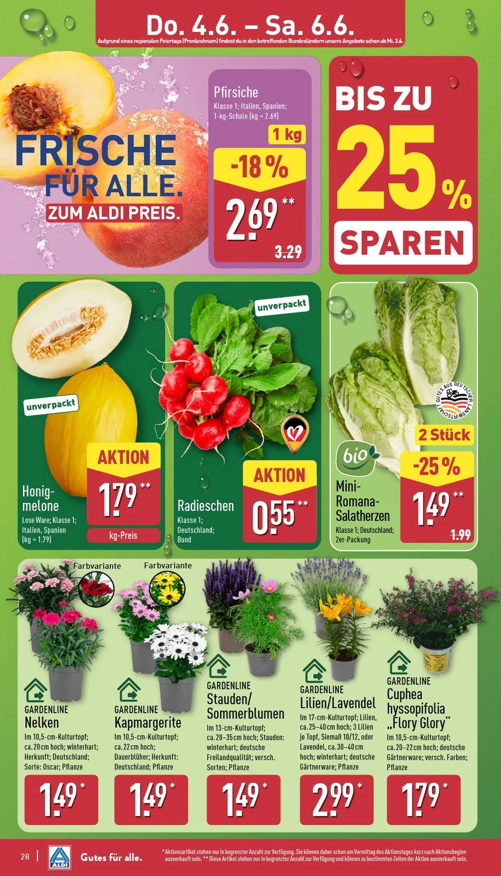 aldi nord prospekt juni 1 6 28