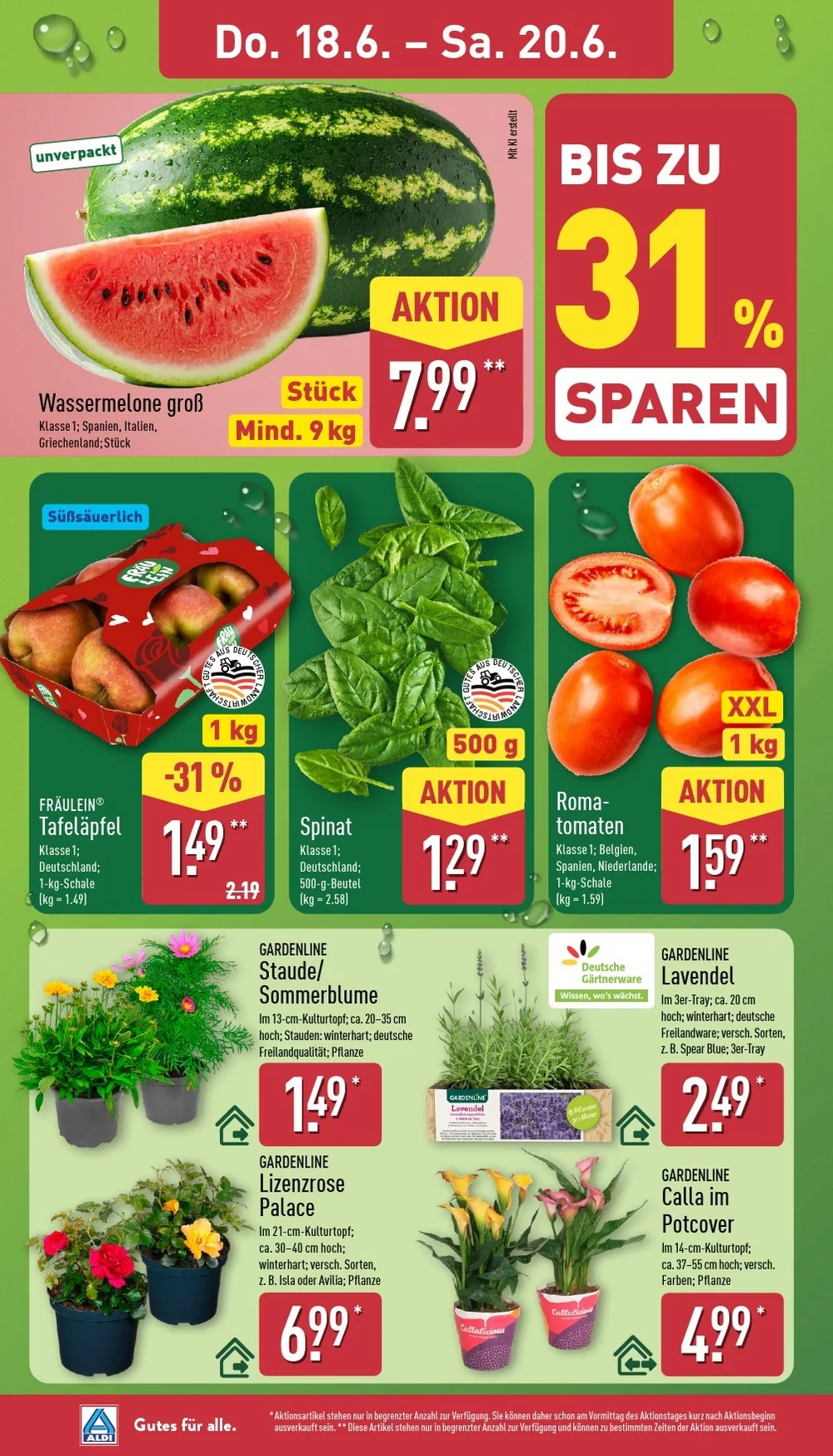 aldi nord prospekt juni 15 20 30