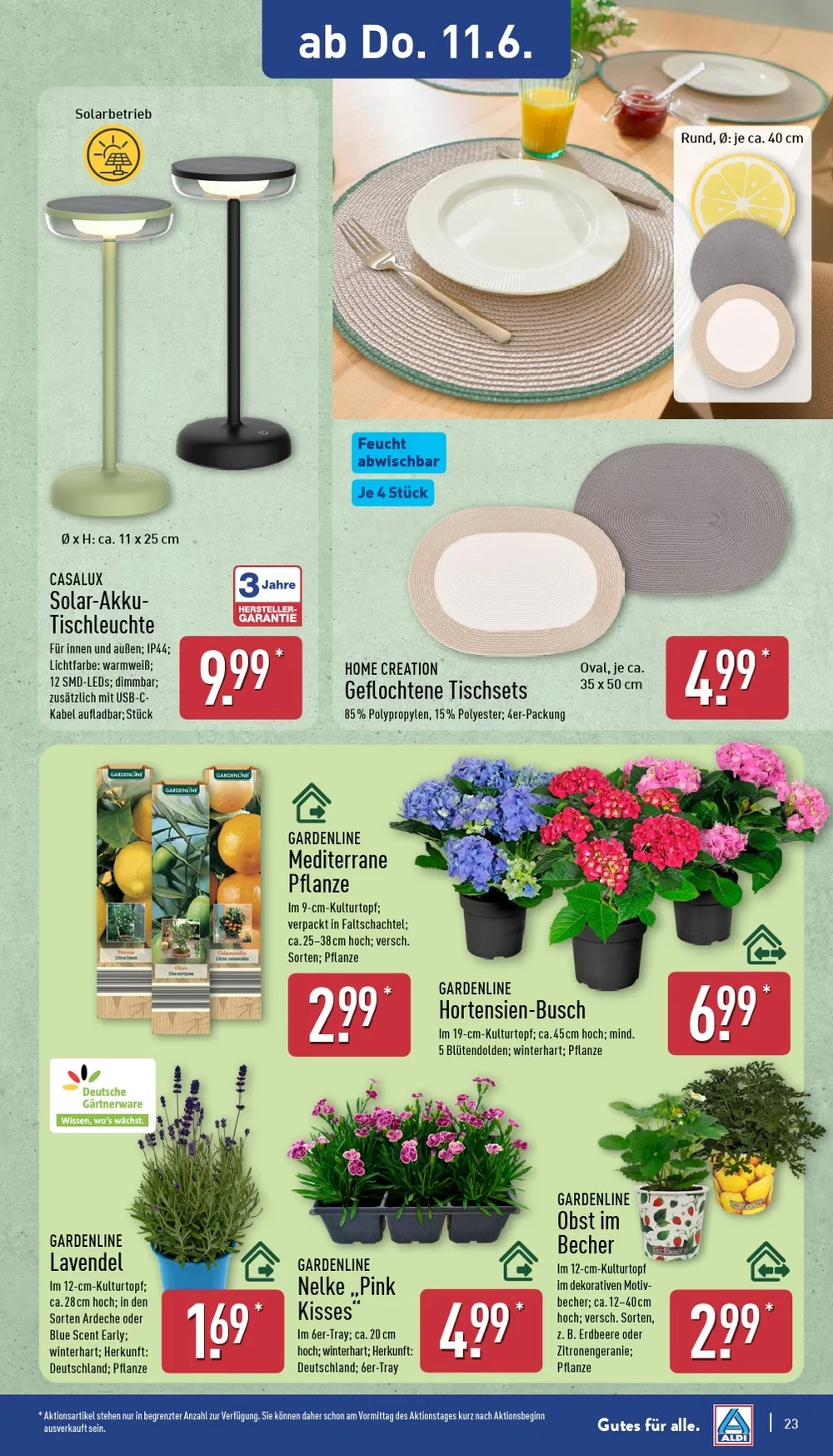 aldi nord prospekt juni 8 13 27