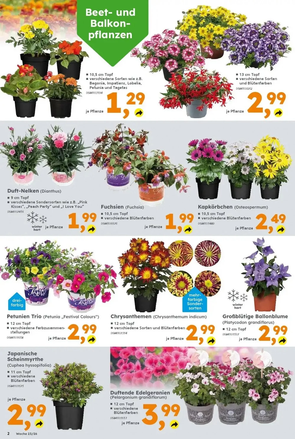 globus baumarkt prospekt juni 1 6 2