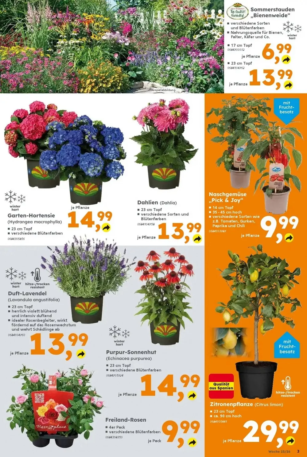 globus baumarkt prospekt juni 1 6 3