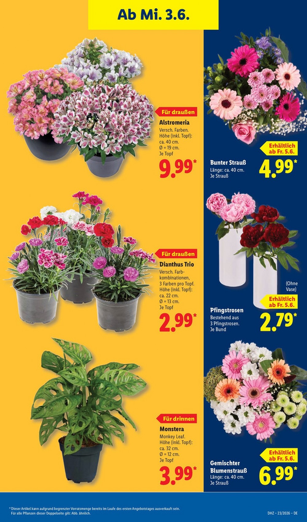 lidl prospekt juni 1 6 73