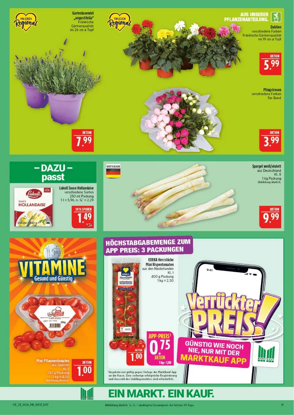 marktkrauf hof prospekt juni 8 13 11