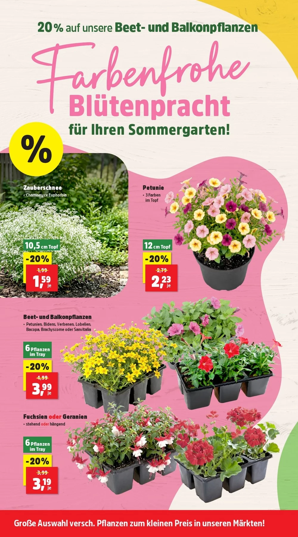 thomas philipps prospekt juni 8 13 6