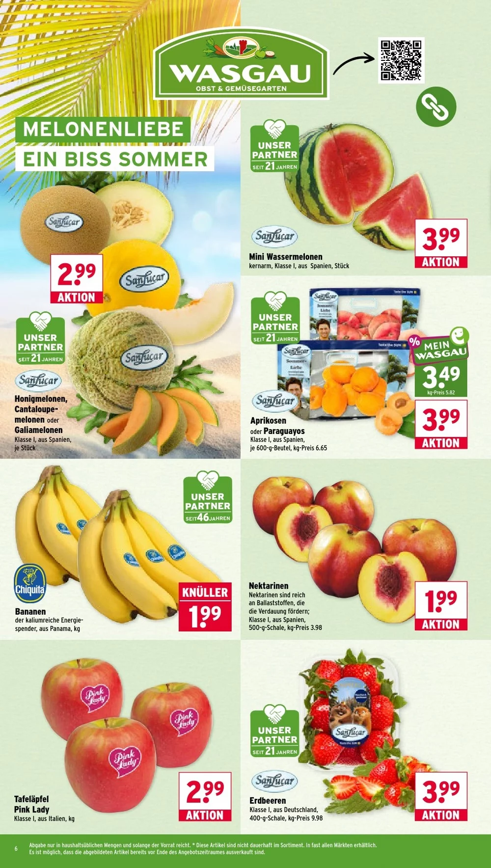 wasgau prospekt juni 1 6 6