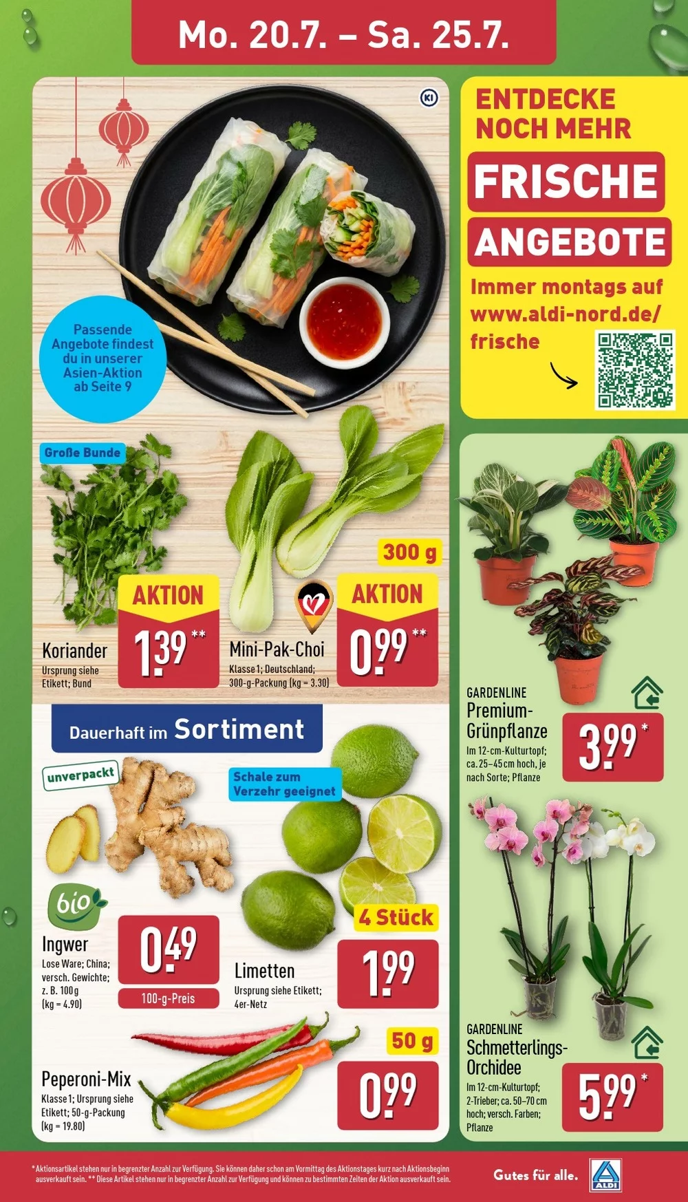 Aldi Nord Prospekt ab 10.08.2026 Angebote Blättern 3 aldi nord prospekt juli 20 26 3