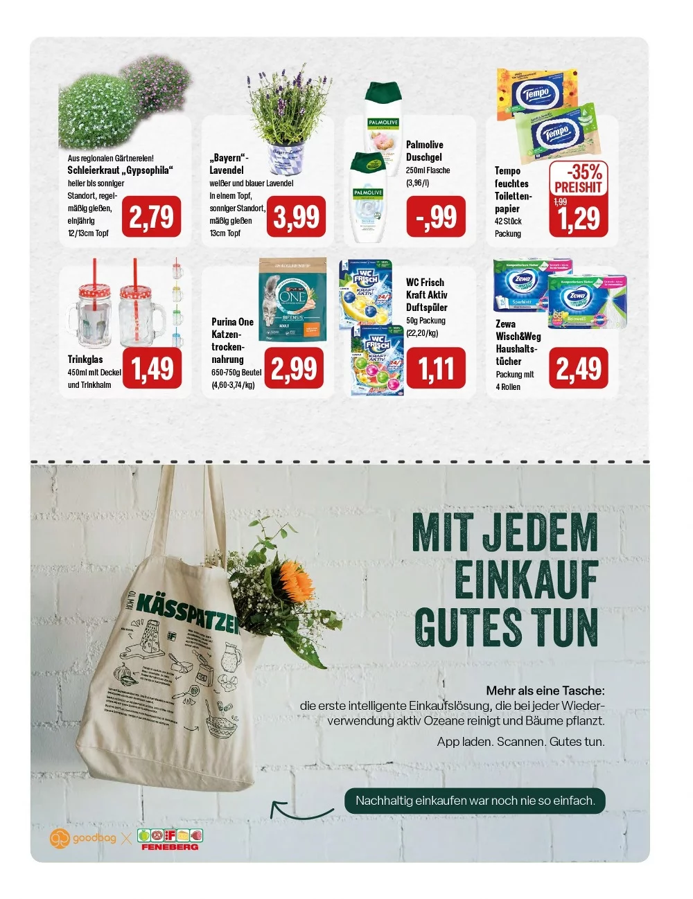 Feneberg Prospekt ab 25.06.2026 Angebote Blättern 15 feneberg prospekt juni 25 27 15
