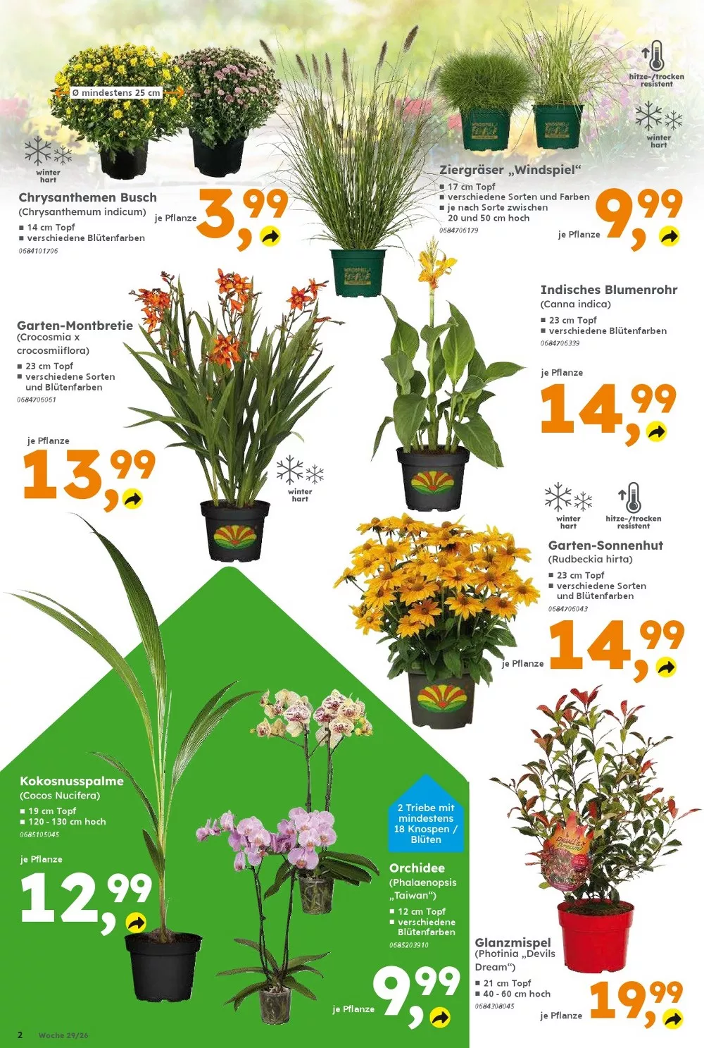 globus baumarkt prospekt juli 13 18 2