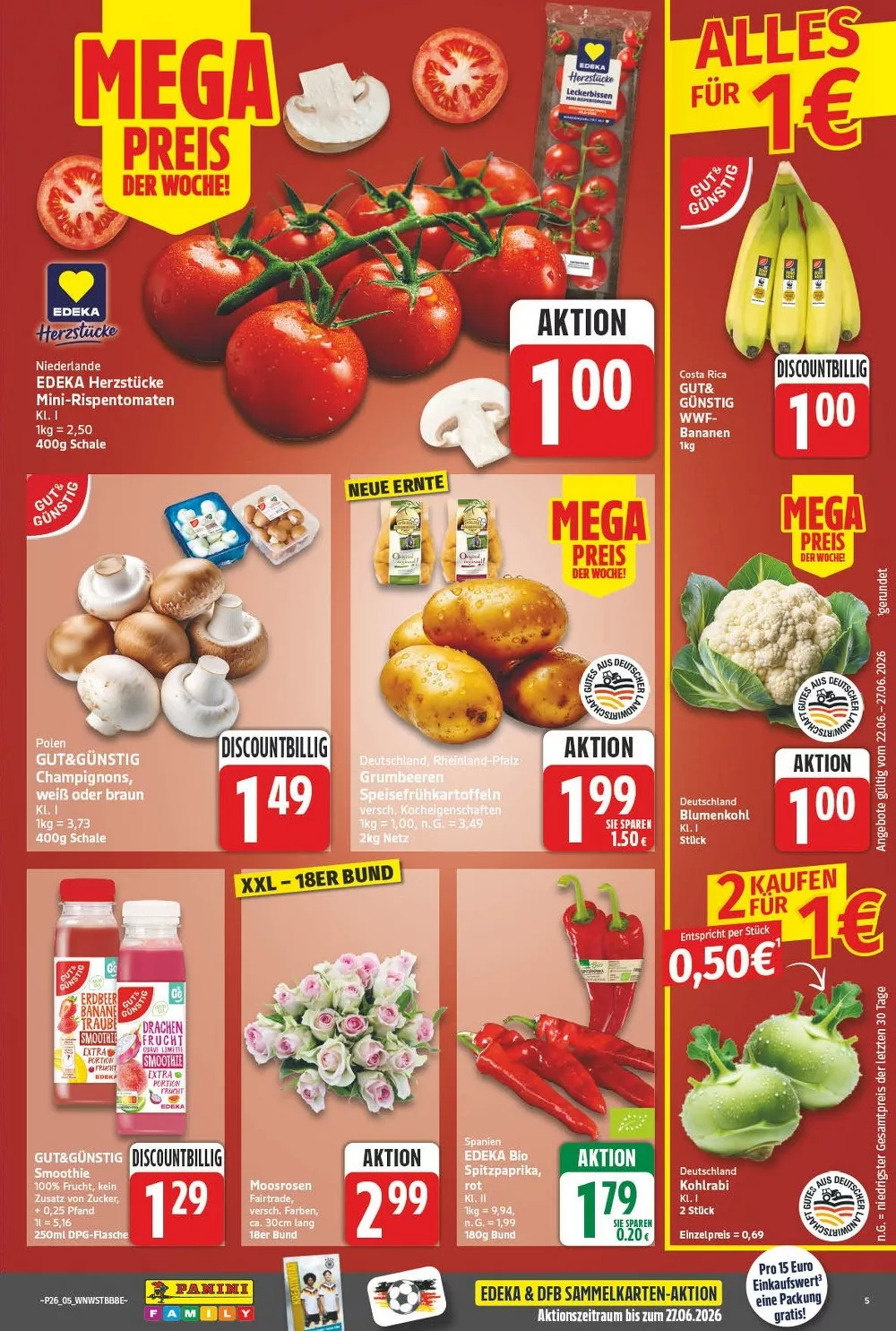 np prospekt juni 22 27 5
