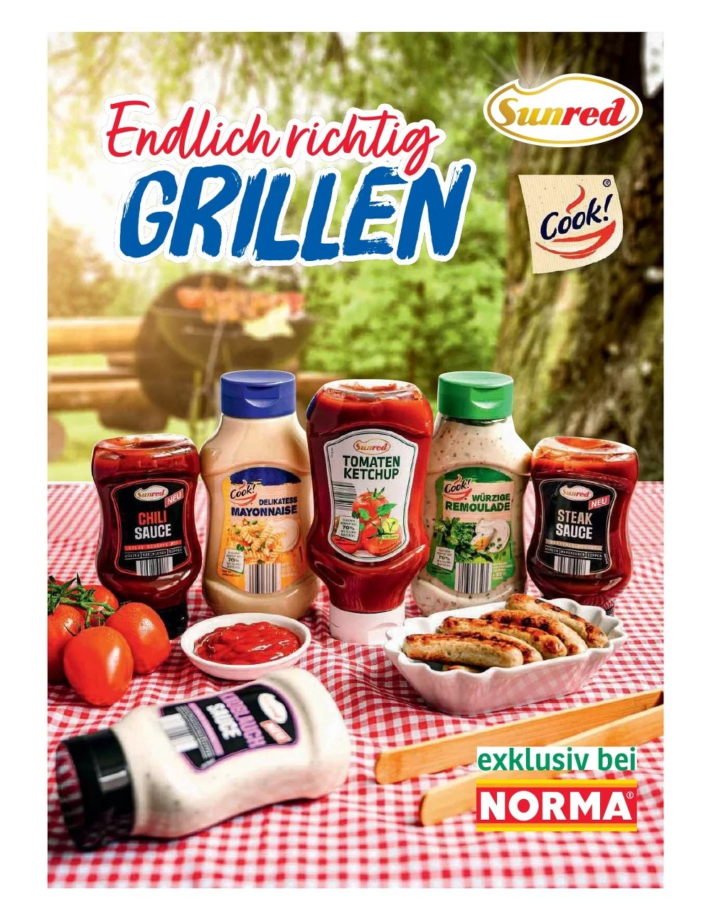 Norma prospekt august 3 8 28