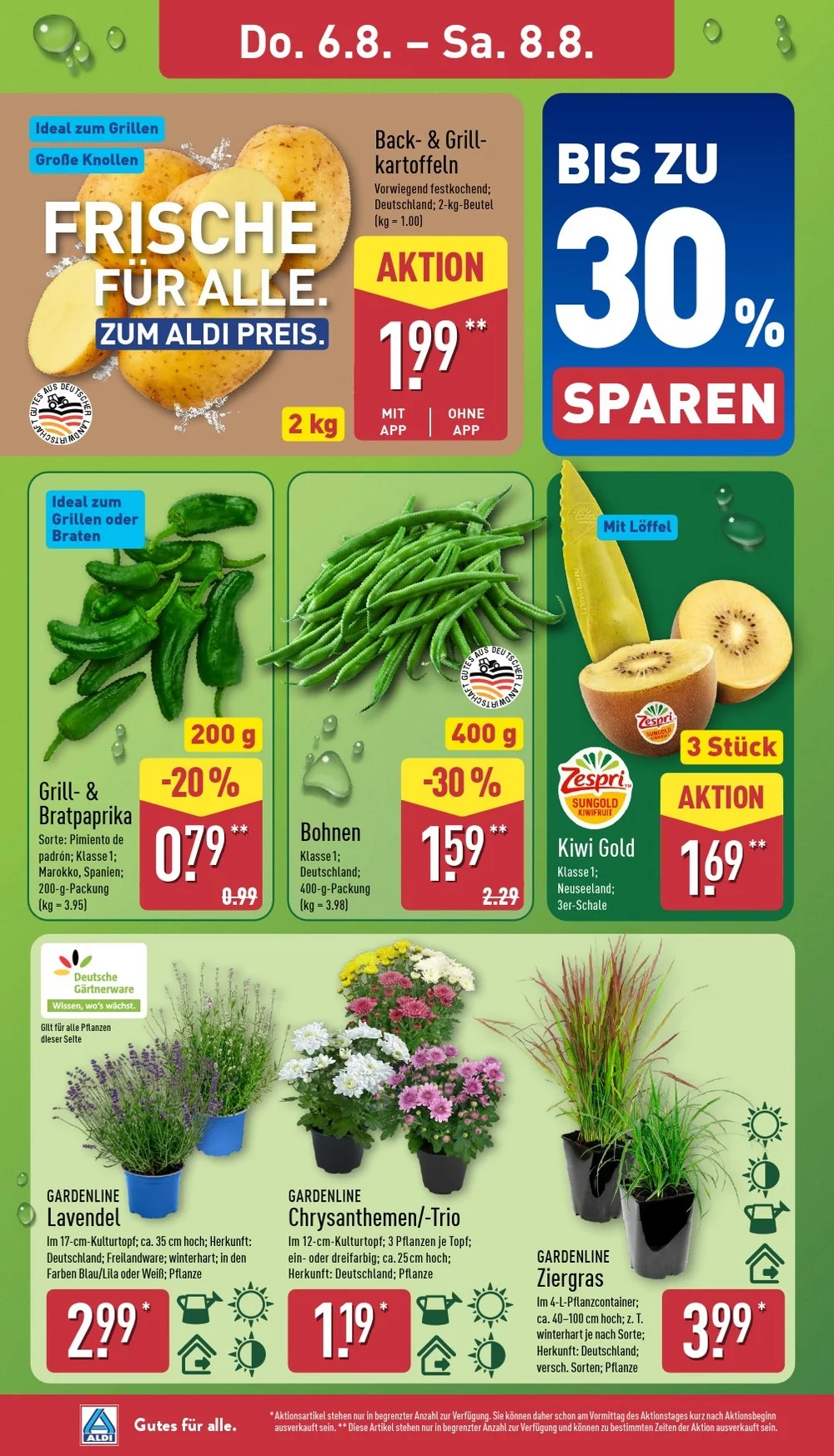 aldi nord prospekt august 3 8 26