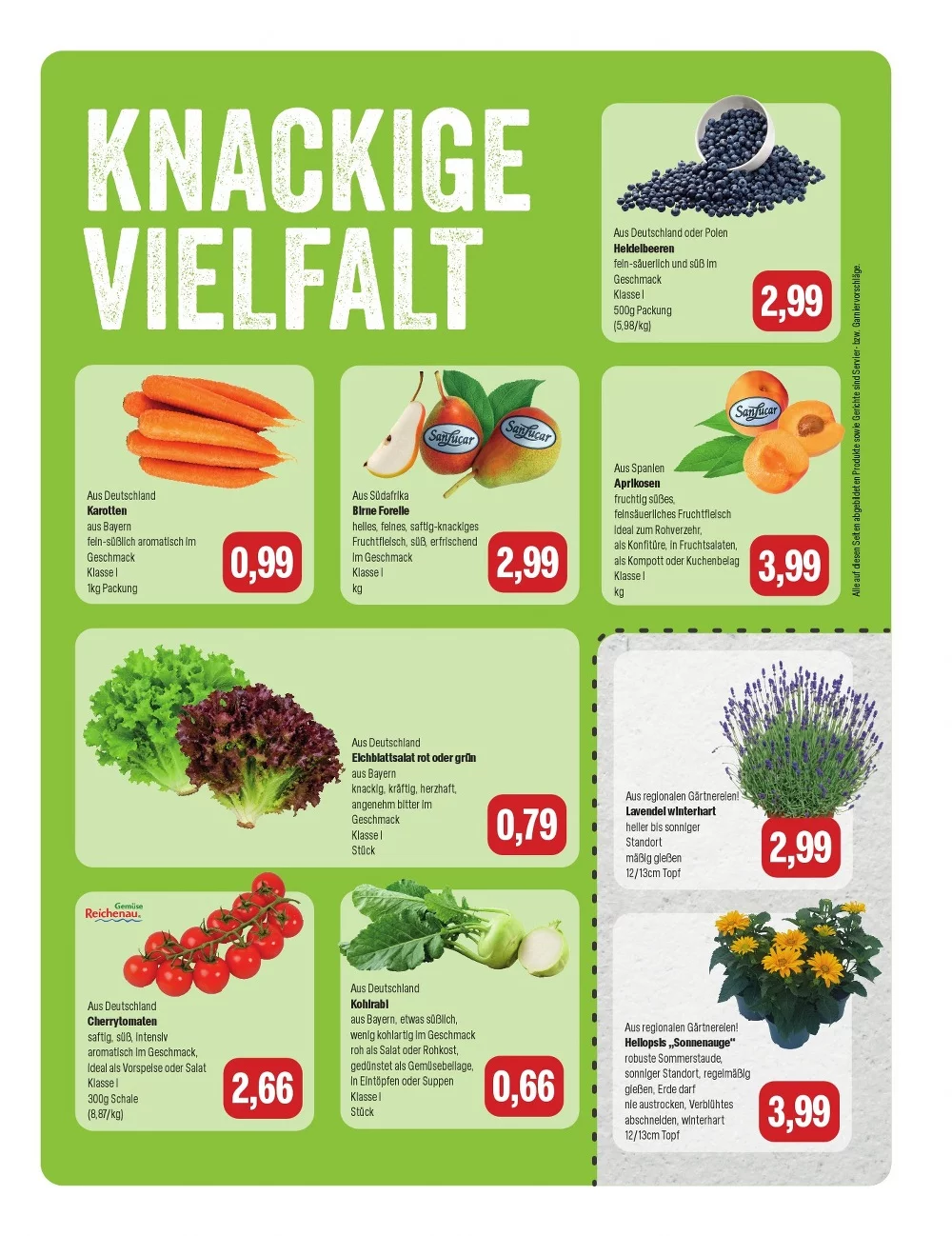 feneberg prospekt juli 30 august 1 7