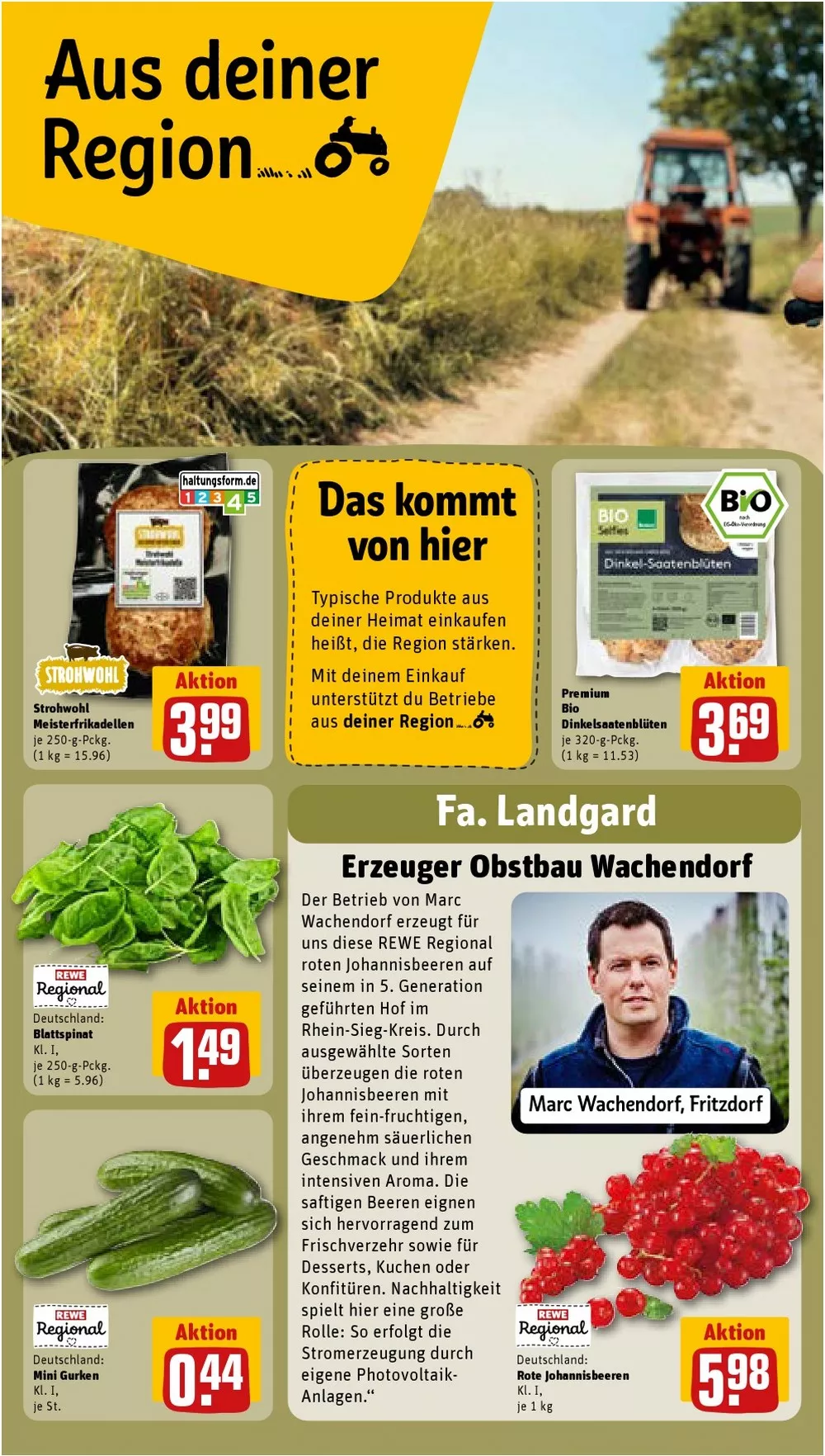 rewe prospekt juli 27 august 1 23 50252248