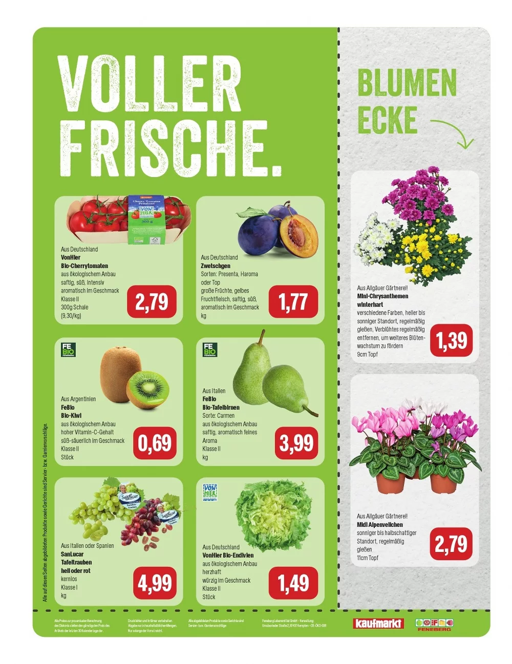 feneberg prospekt september 10 12 8