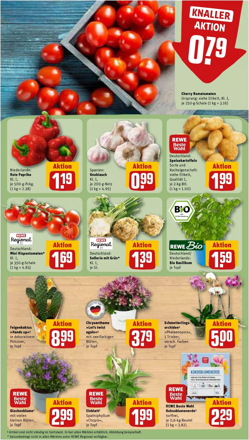 rewe prospekt august 10 15 5 29447775